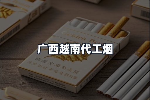 广西越南代工烟